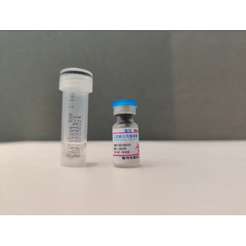 乙型溶血性链球菌