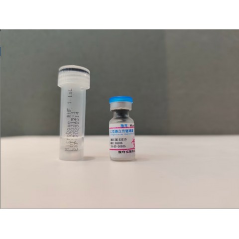 乙型溶血性链球菌
