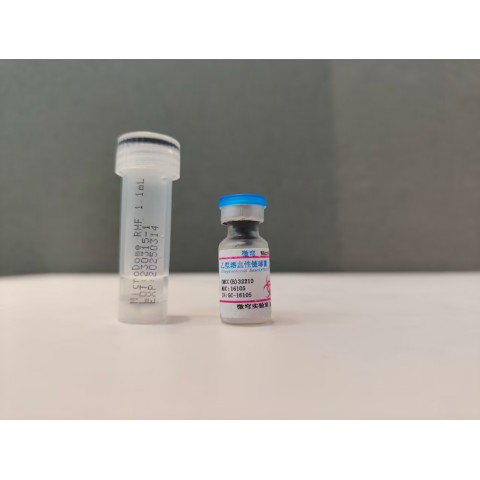 乙型溶血性链球菌
